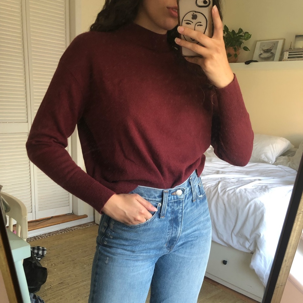 Everlane Cashmere Mockneck